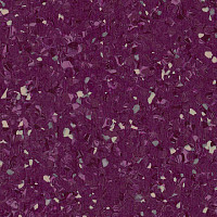 Линолеум Tarkett iq Eminent PURPLE 0149 фото 1 | FLOORDEALER